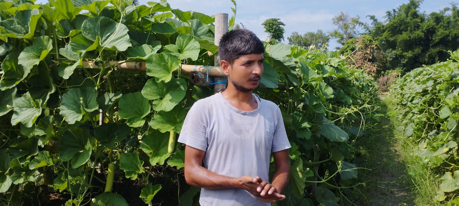 मौसमी सागसब्जी बेचेर मासिक २ लाख आम्दानी